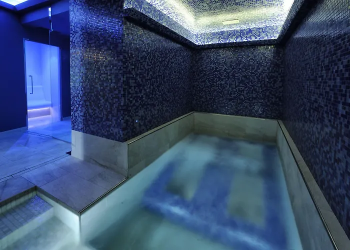 فندق دي باريس