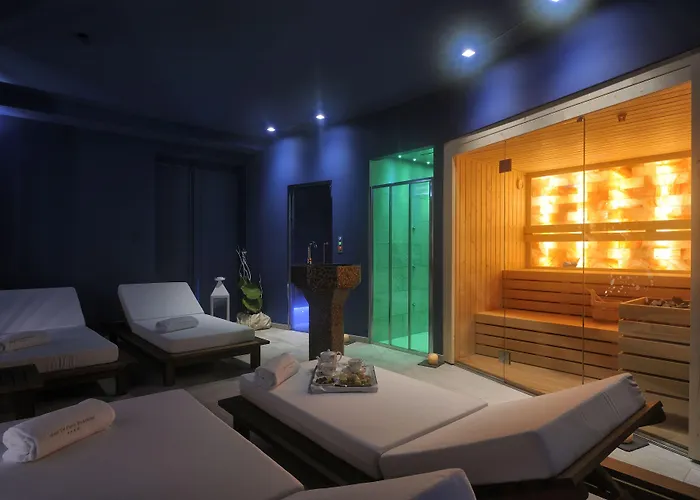 فندق دي باريس 4*