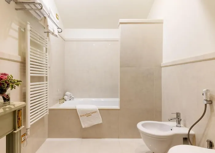 دي باريس فندق